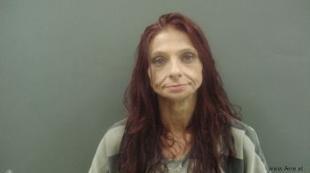 Jammie Ann Dodge Mugshot