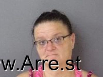 Teresa K Hehnke Mugshot