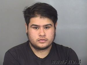 Alexis Castillo Arrest Mugshot