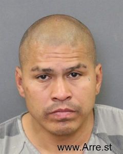 Fernando Flores Arrest Mugshot