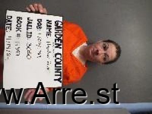 Heather Prue Arrest