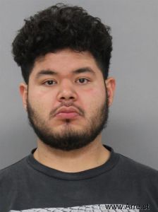 Joel Torres Arrest Mugshot