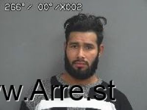 Lony Adams Arrest Mugshot