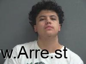 Luis Rodriguez Arrest