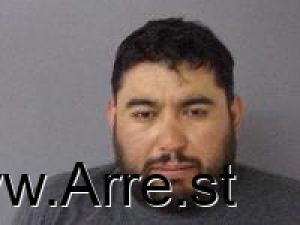 Mauricio Medina-galvan Arrest Mugshot