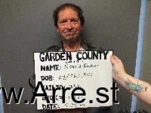 Ronald Rumer Arrest Mugshot