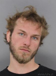 Sebastian Nehls Arrest Mugshot