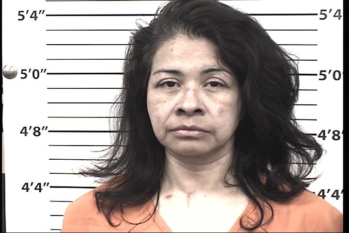 Alma Isela Delgado Mugshot