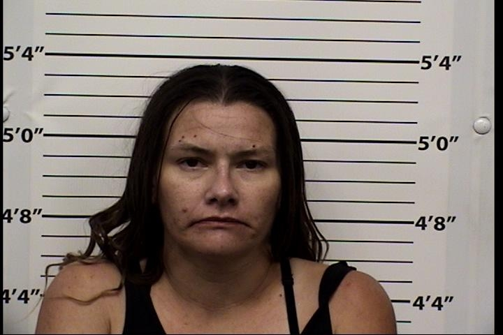 Amanda  Jenkins Mugshot