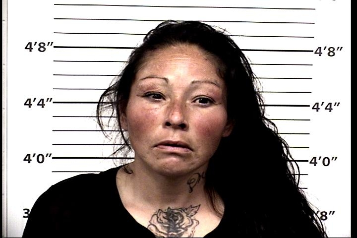 Andrea Ida Deluna Mugshot