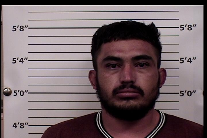 Armando  Dominguez Mugshot