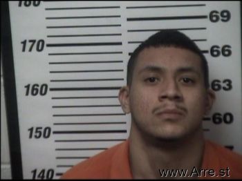 Adrian  Gonzales Mugshot