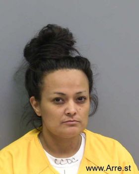 Adrianna Jaime Ortiz Mugshot