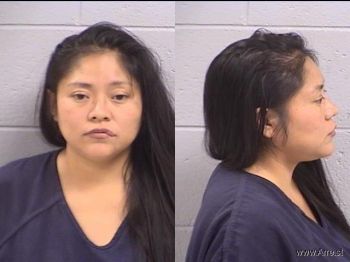 Adrianne  Toledo Mugshot