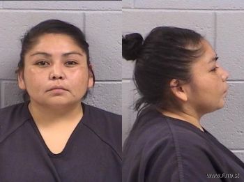 Alanda Shayelyn Johnson Mugshot