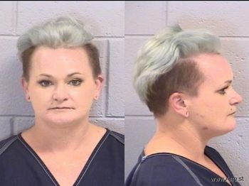 Aleece Ann Bodkin Mugshot