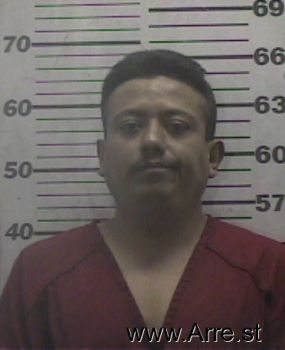 Alejandro  Estrada Mugshot