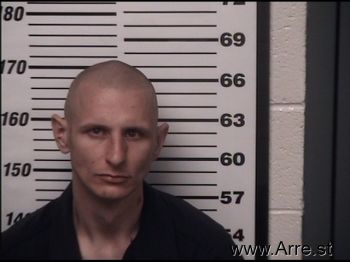 Alexander Fabian Palmer Mugshot