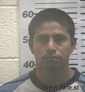 Alexandro  Gonzales Mugshot