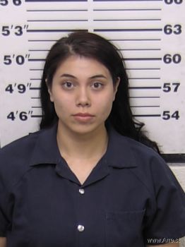 Alexis Michelle Perez Mugshot