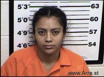 Alicia  Ortega Mugshot