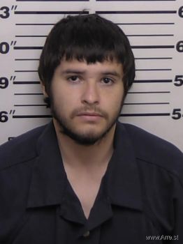 Alonso  Hernandez Mugshot