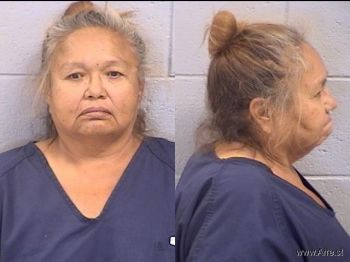 Alta Rose Benally Mugshot