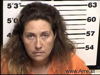 Amanda  Bolin Mugshot