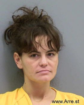 Amanda  Cook Mugshot