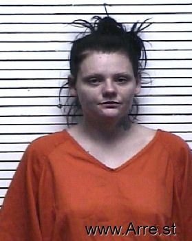 Amanda Lee Gibson Mugshot