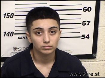 Amanda Monique Martinez Mugshot