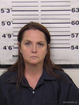 Amanda L Mcdaniel Mugshot