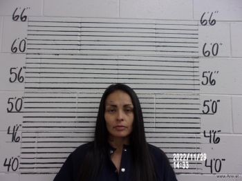 Amanda A Padilla Mugshot