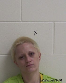 Amanda Lynn Richardson Mugshot