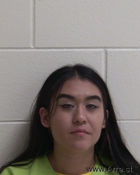 Amy Aly Castro Mugshot