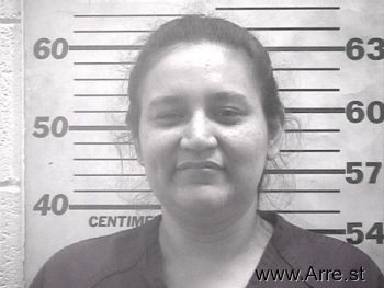 Andrea Maylynn Garcia-patron Mugshot