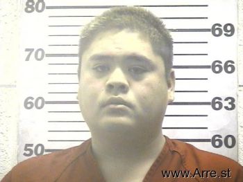 Andres  Romero Mugshot