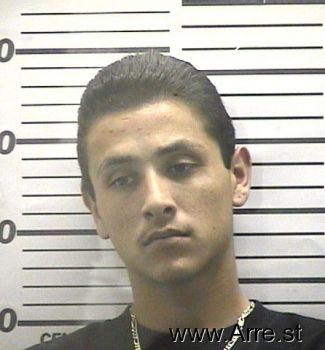 Andy  Garcia Mugshot