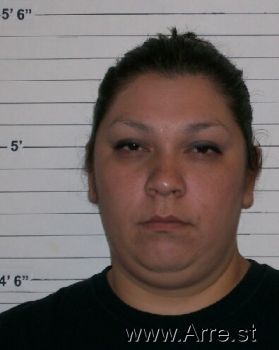 Angelica  Chavez Mugshot