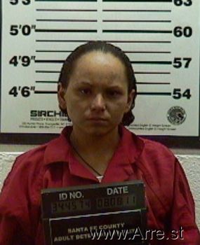 Angelina M Acevedo Mugshot