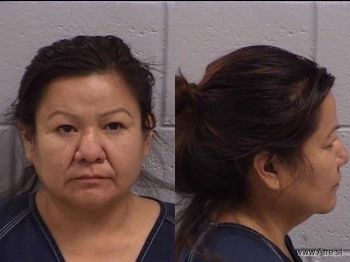 Anidra Vickie Begay Mugshot