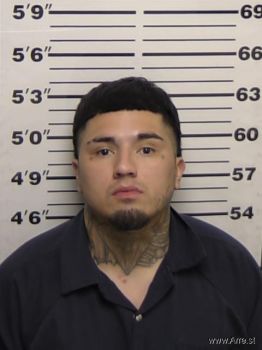 Anthony Felix Villareal Mugshot