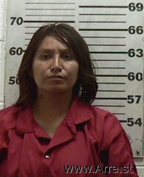 April  Whitelance Mugshot