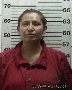 April  Whitelance Mugshot