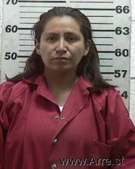 April  Whitelance Mugshot