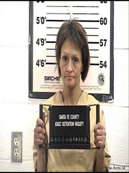 Arlene  Torres Mugshot