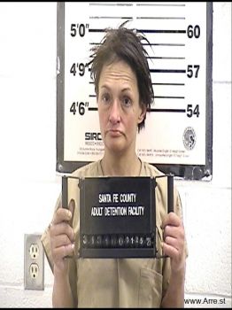 Arlene  Torres Mugshot