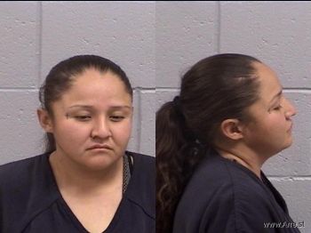 Ashlee Elizabeth Setzer Mugshot