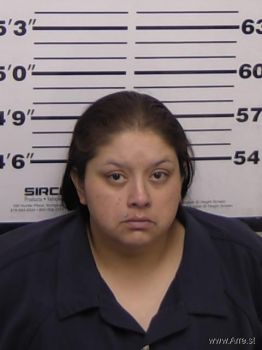 Ashley Irene Lopez Mugshot