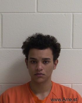 Austin Samuel Lynn Fite Mugshot